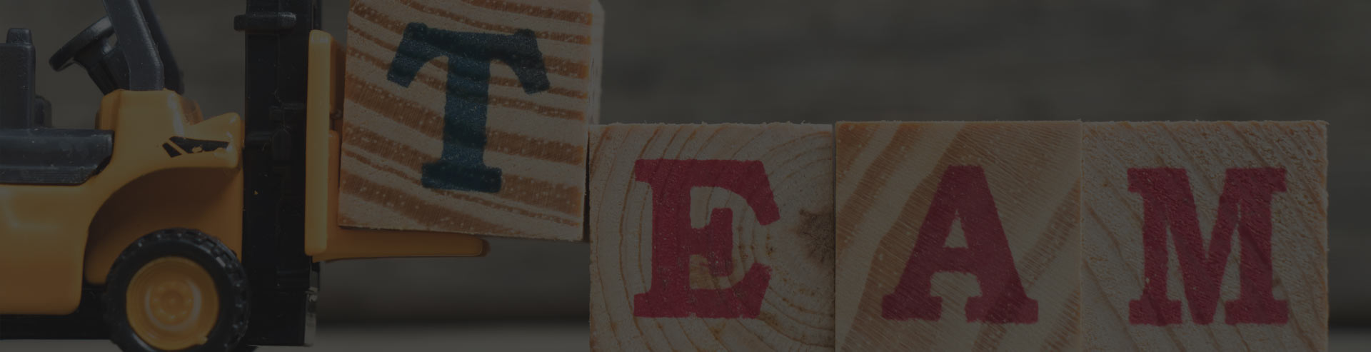 Ansprechpartner